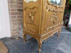 Louis 15 style Gilded displaycabinet in gilded wood, France 1900
