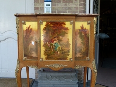 Napoleon III style Cabinet with vernis-matin paintings in different woods and gilded bronze, France 1880