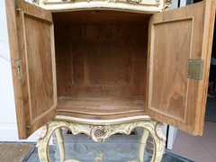 Louis 15 style Cabinet in carved and patinated walnut, Austria,Vienna 1900