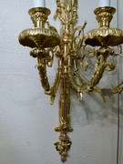 Louis 16 style Pair wall sconses in gilded bronze , France 1900