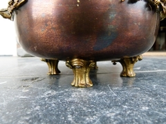 Napoleon III style Jardinaire stamped by Cie des bronze Bruxelles in gilded and patinated bronze, Belgium 1880